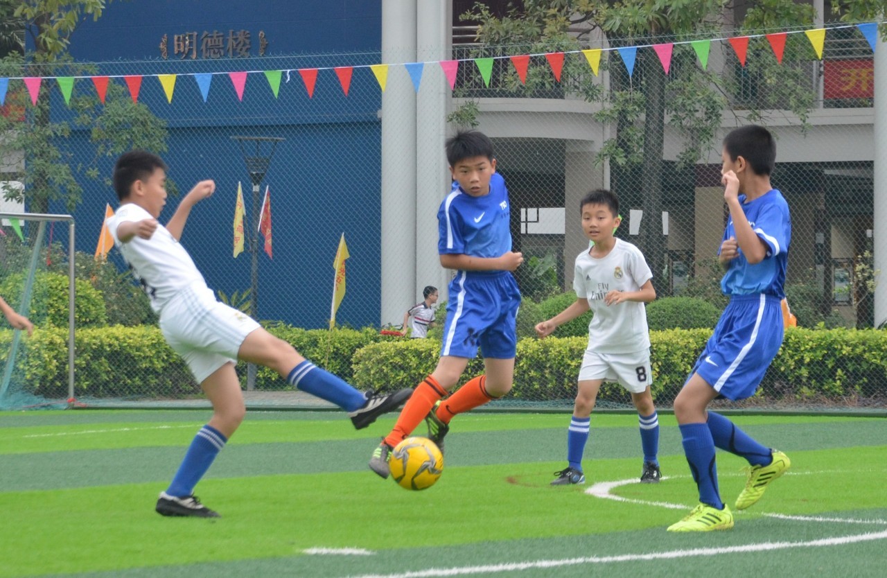 经过培养和 经过培养和