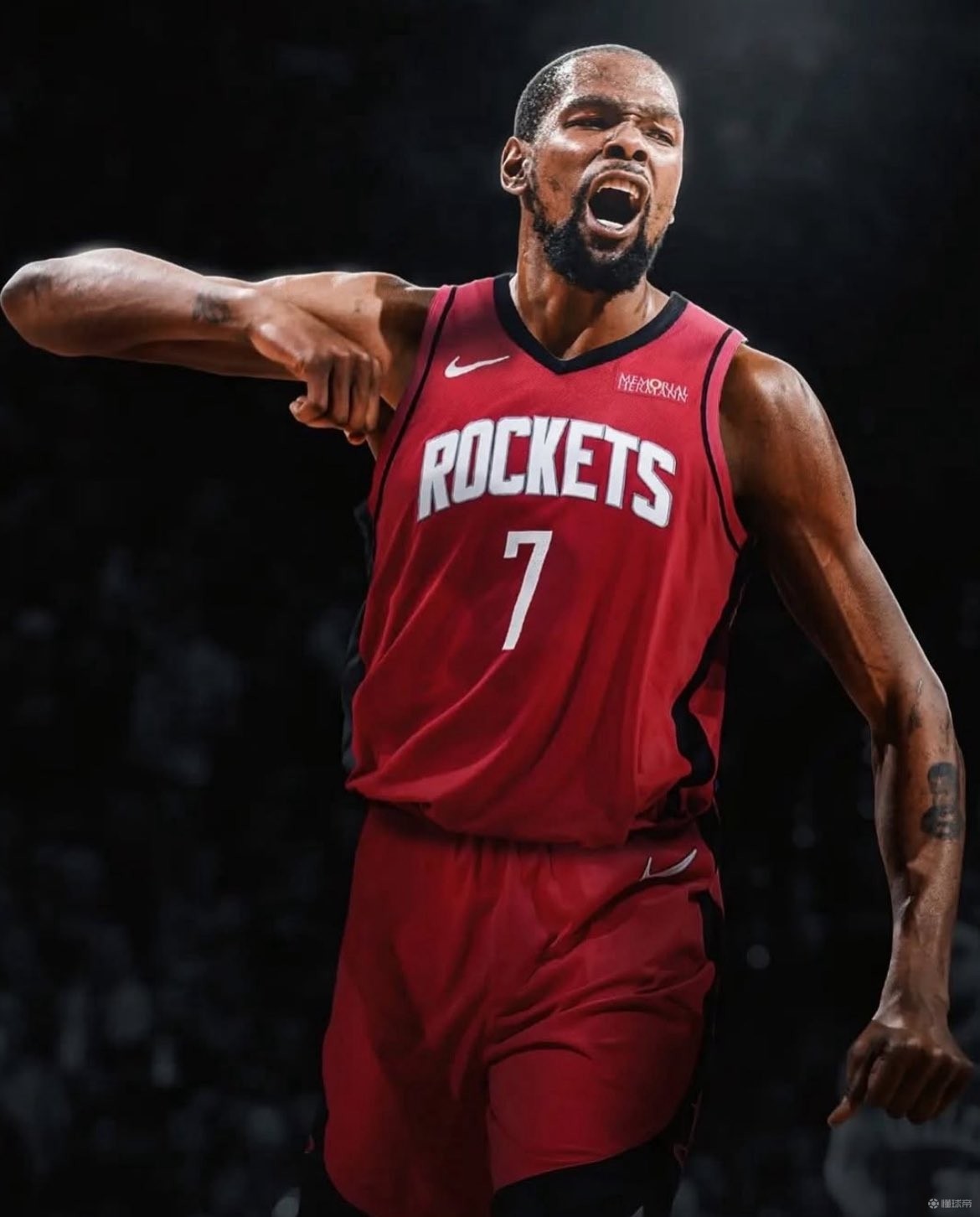 己的梦想 己的梦想