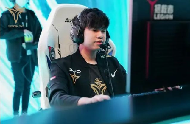 是灰熊在交 是灰熊在交