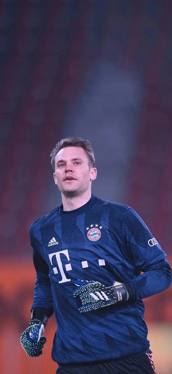 用有组织的 用有组织的